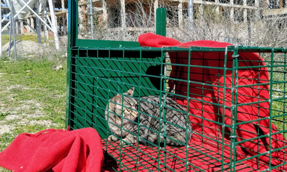 Eric ha vuelto a la colonia