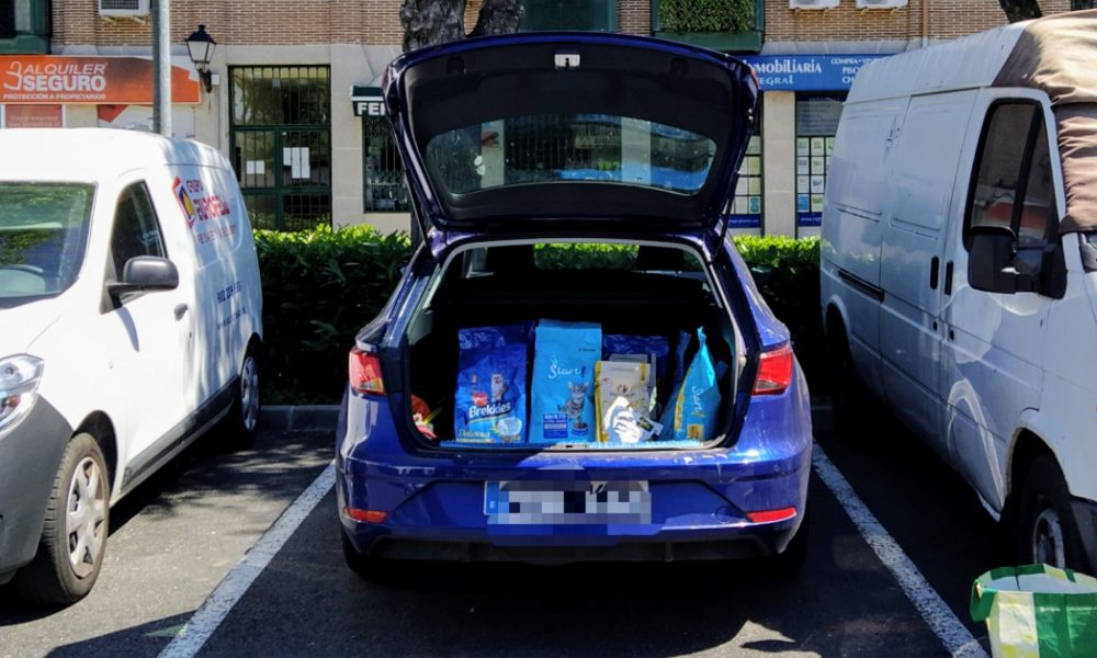 Próximo reparto de alimentos para colonias felinas