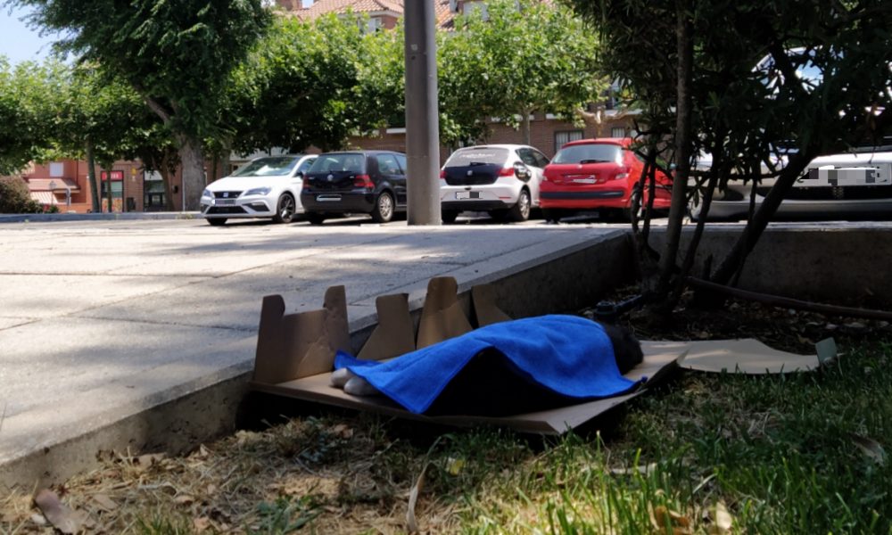 Gatita atropellada – calle Sevillanos