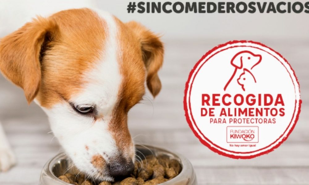 El sábado 7 recogida de alimentos en Kiwoko