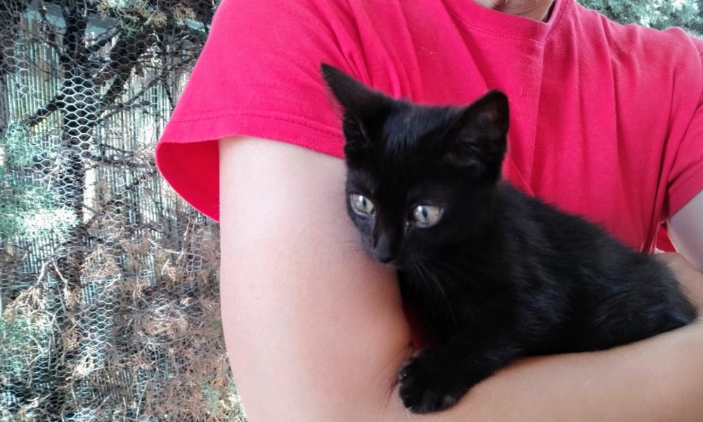 Ashley (antes Julia) ya tiene familia