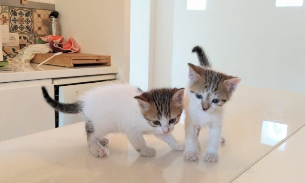 Separadas al nacer, ¿o no?