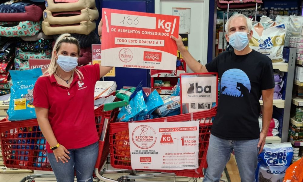 Próximo reparto para colonias felinas