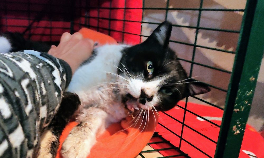 Caso difícil y punto de inflexión