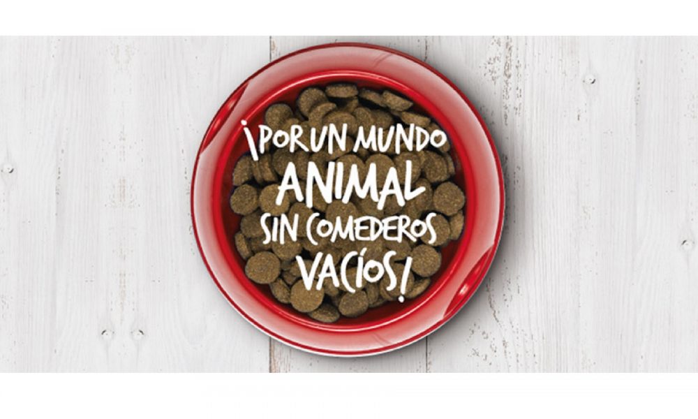 Recogida de alimentos en Kiwoko hoy día 5 de diciembre