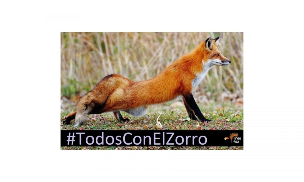 Acto Todos Con El Zorro – 31/01/2021