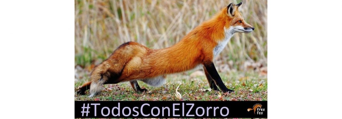 Acto Todos Con El Zorro – 31/01/2021