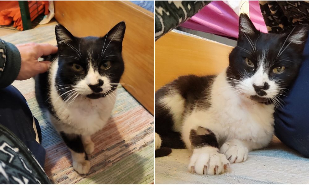 Aarón se recupera tras la operación