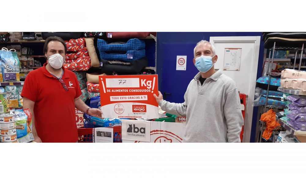 Domingo 14 de Marzo – Reparto de la recogida de alimentos