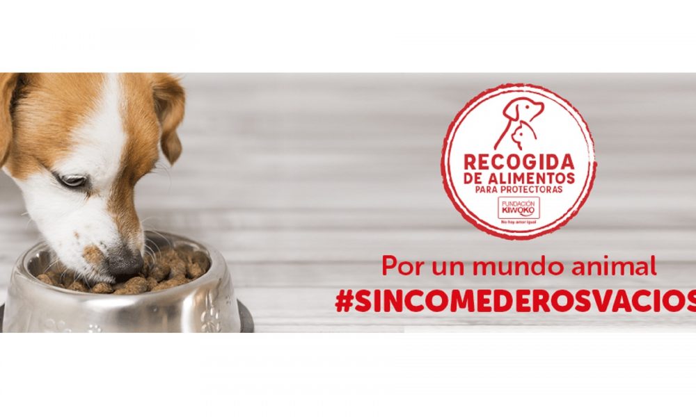 Sábado 6 de Marzo – Recogida de alimentos en Kiwoko