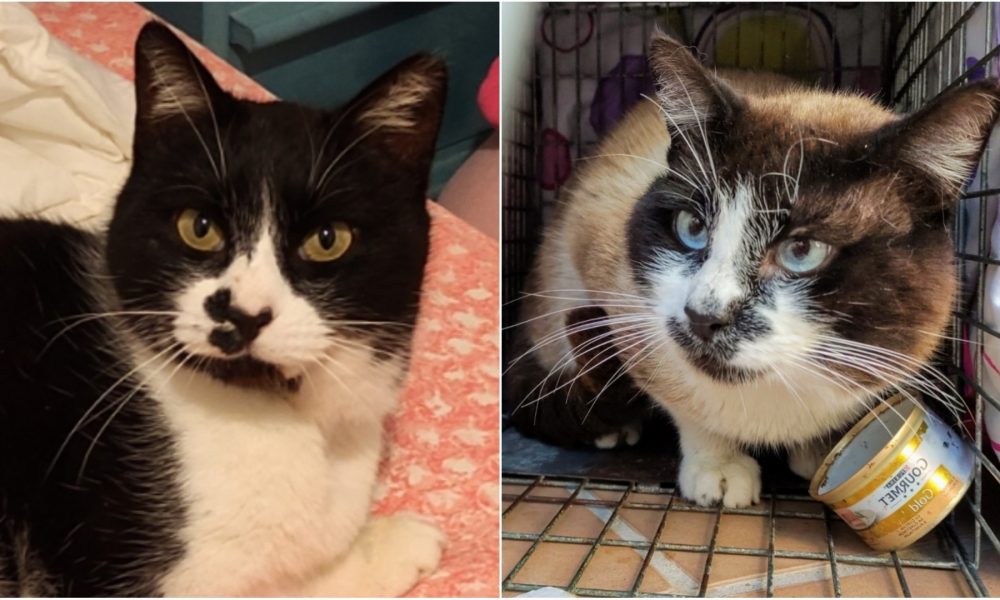 Aarón y su tío Ruperto