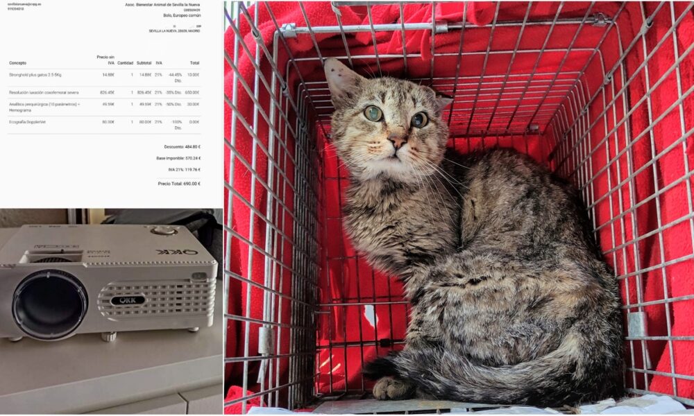 Donaciones y sorteo para la operación de Bolo