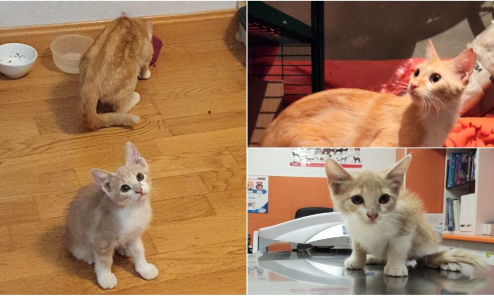 Novedades sobre Kevin y su mamá