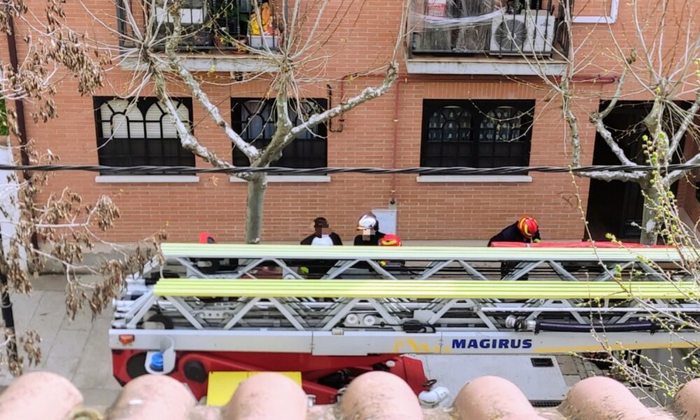 Intento de rescate de un gato