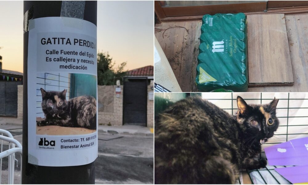 Julita ya está acogida de nuevo