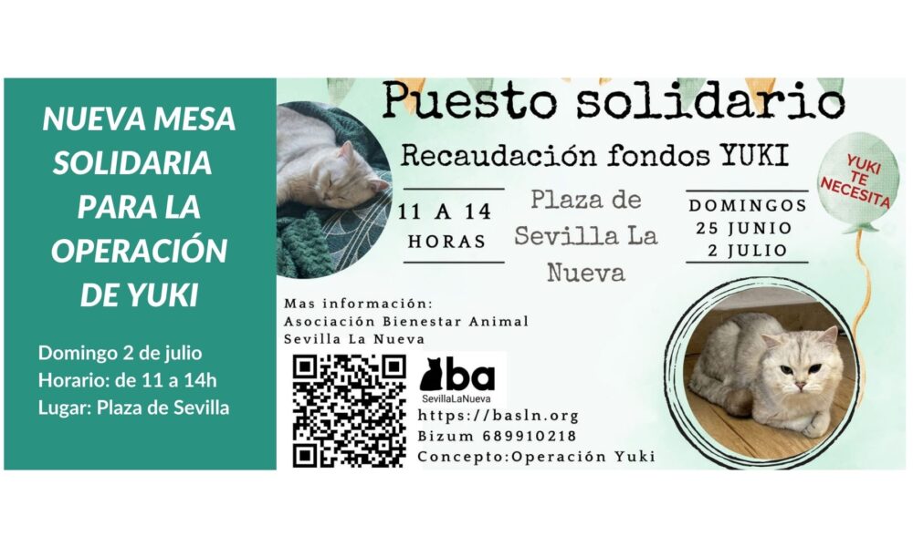 Mesa Solidaria – Domingo 02/07/2023