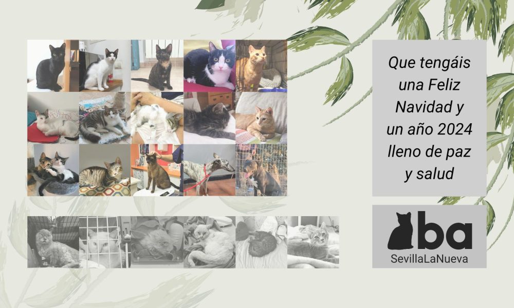 Recuerdos y finales felices en 2023