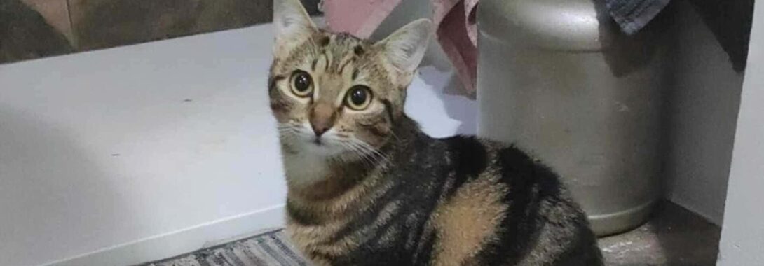 Nadia