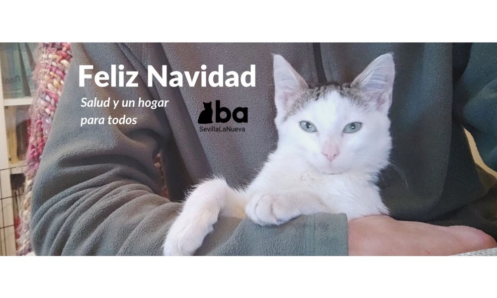 ¡Feliz Navidad!