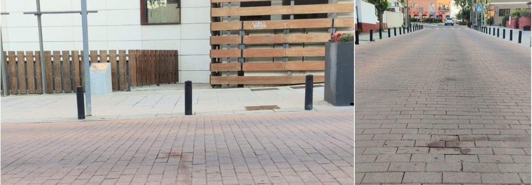 Gato o gata atropellado en Av. Sevillanos – 16/05/2025