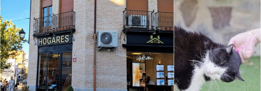 Hogares Group: SLN Colabora Cum Laude