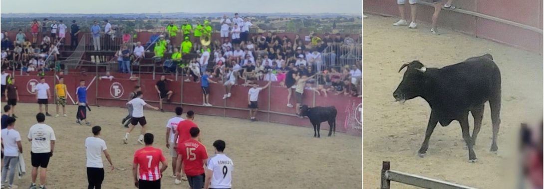 Crónicas taurinas en SLN – Detalles de interés