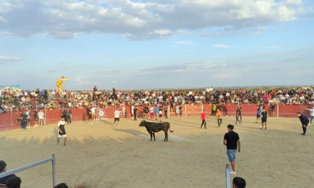 Tú puedes evitarlo – Tauromaquia en las Fiestas SLN