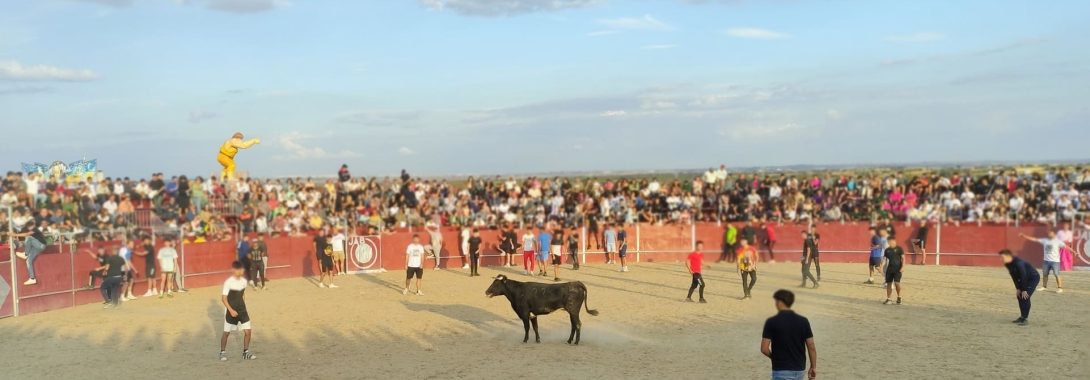 Tú puedes evitarlo – Tauromaquia en las Fiestas SLN