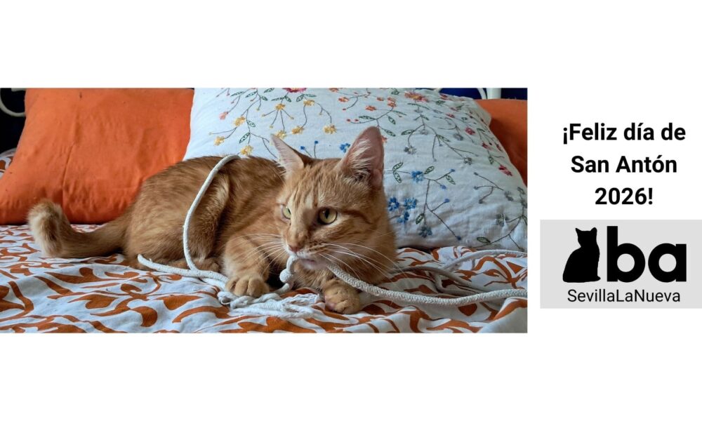 San Antón 2026: cita y bendición de los animales