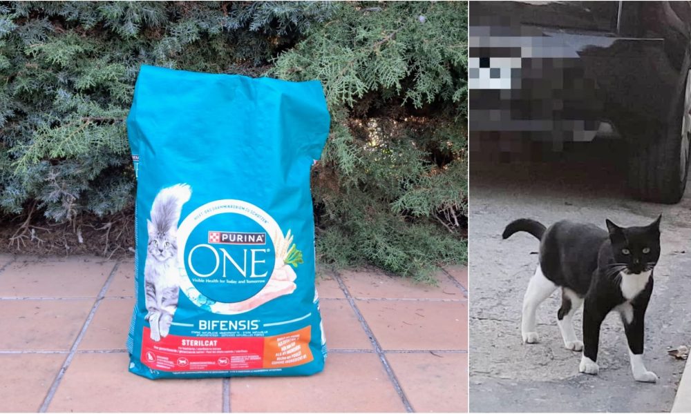 Pequeñas donaciones