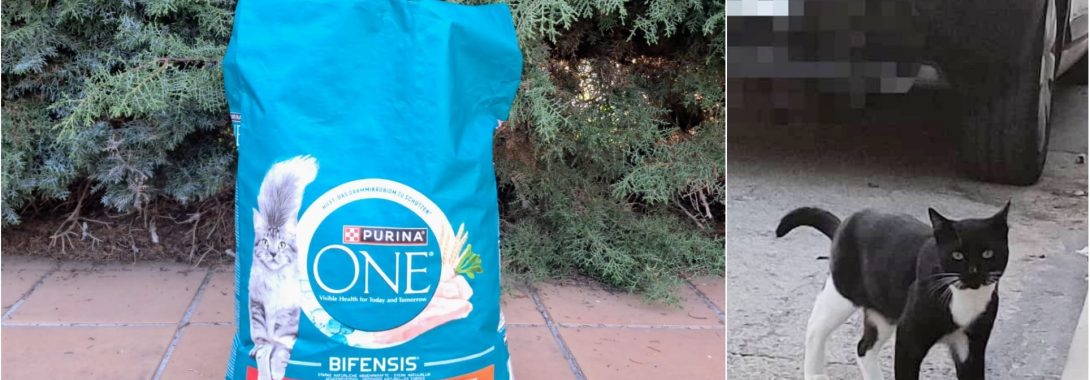 Pequeñas donaciones