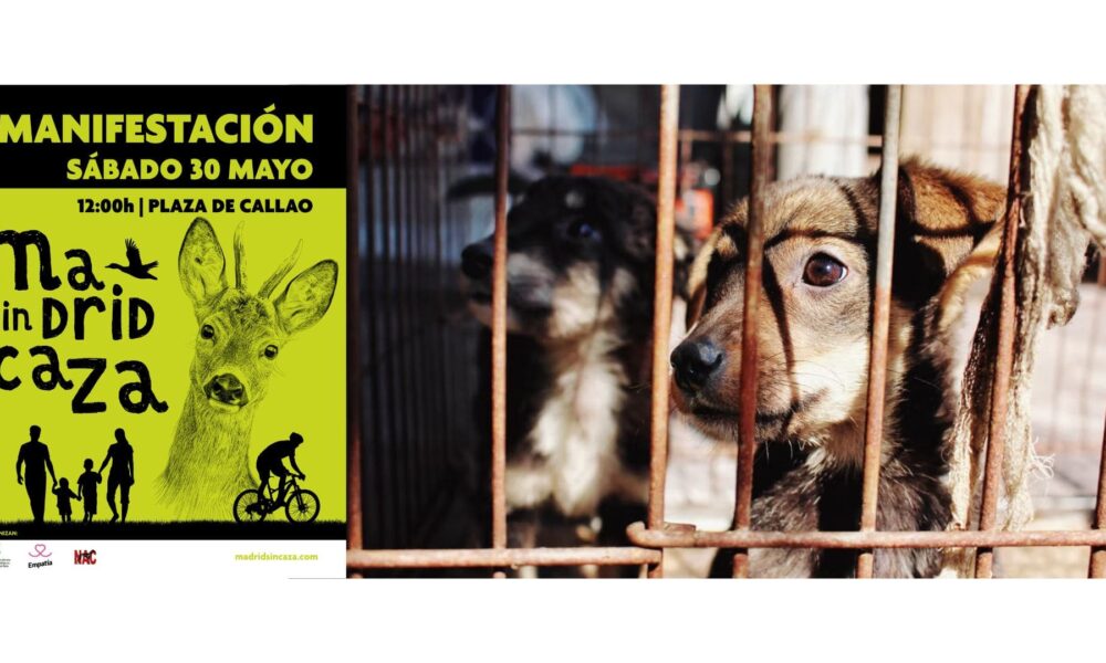 ¿PERO ESTO DE LA NUEVA LEY DE CAZA VA EN SERIO?