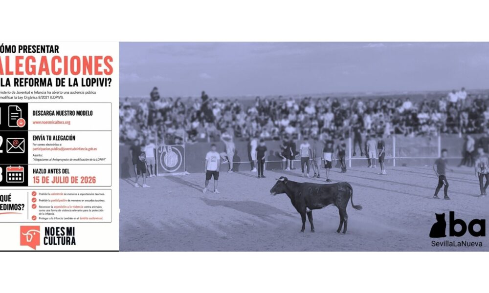 Participa y protege a la infancia de la tauromaquia