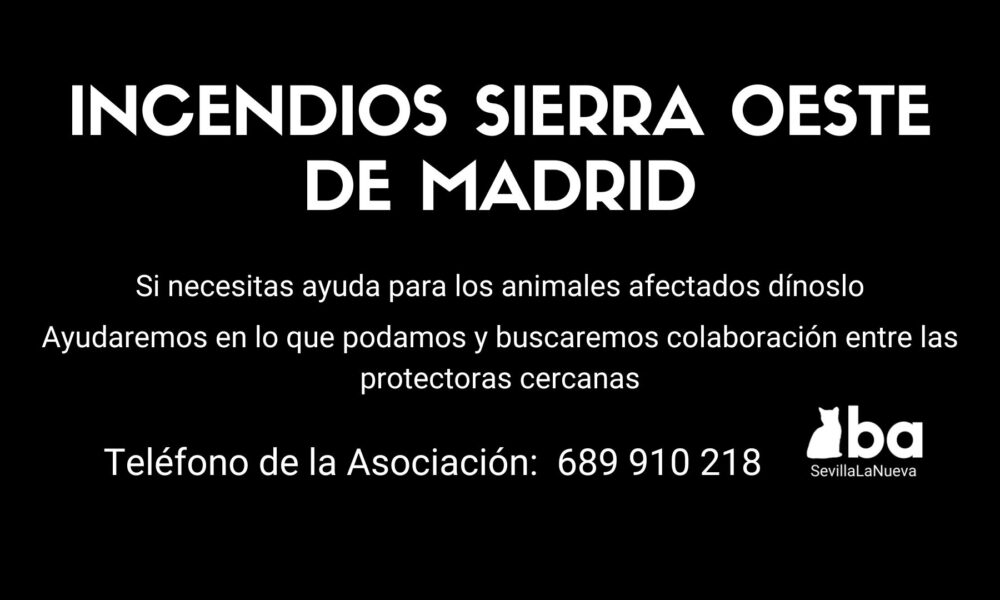 Incendios Sierra Oeste de Madrid