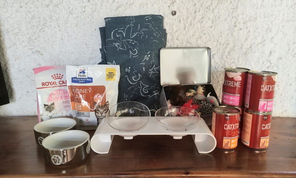 Pequeñas donaciones – Agosto 2026