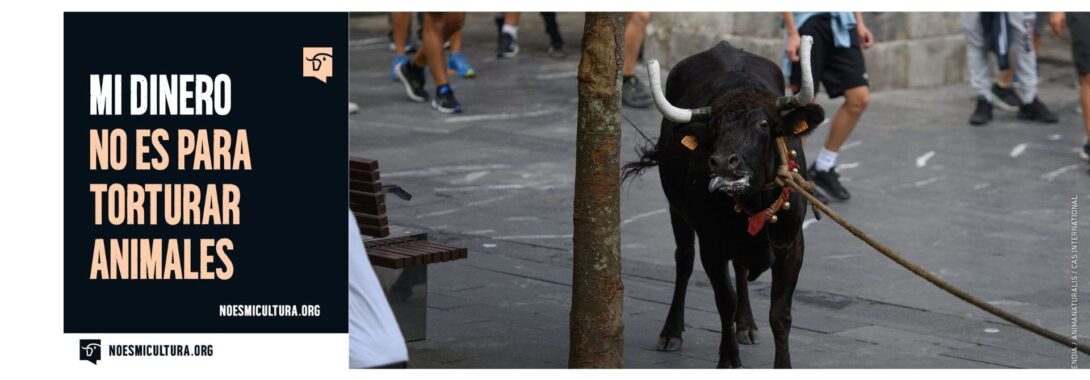Tauromaquia: el incidente contínuo y consentido
