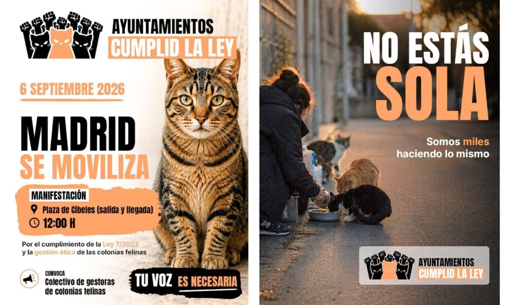 Manifestación estatal – Los Gatos Tienen Ley
