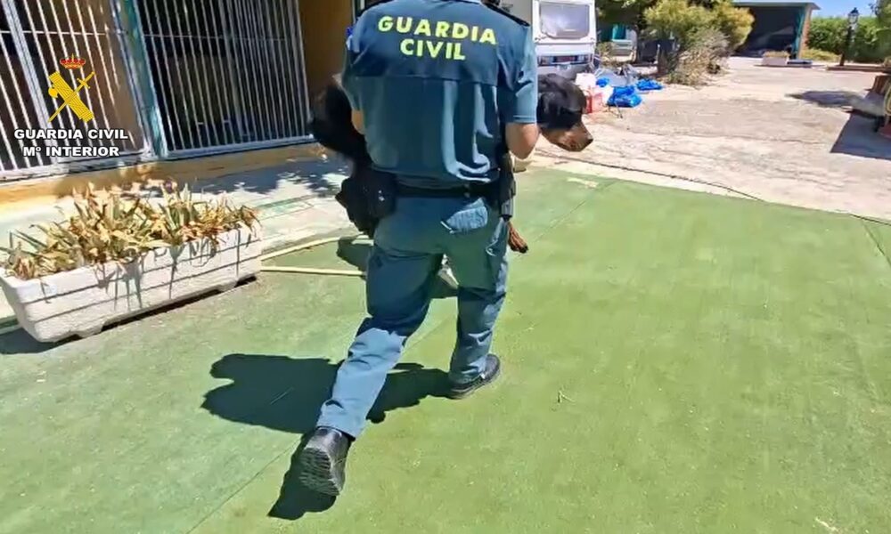 El terrible y repetido caso de Narub Navalcarnero
