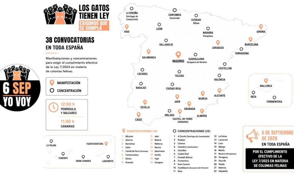 Manifestación estatal – Los Gatos Tienen Ley