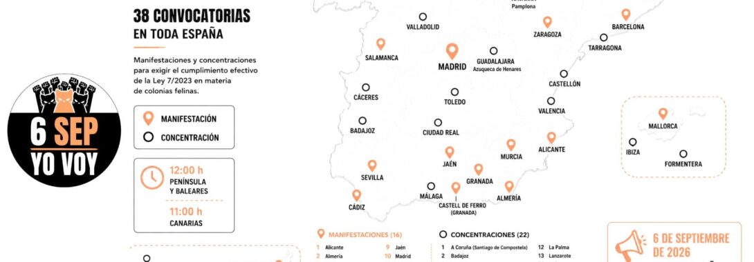 Manifestación estatal – Los Gatos Tienen Ley