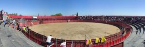 Tauromaquia SLN: fracaso y despilfarro