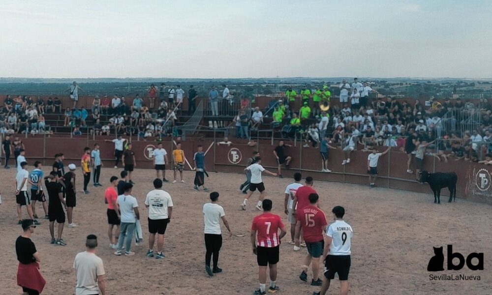 Muerte en tu fiesta – Tauromaquia en las Fiestas SLN