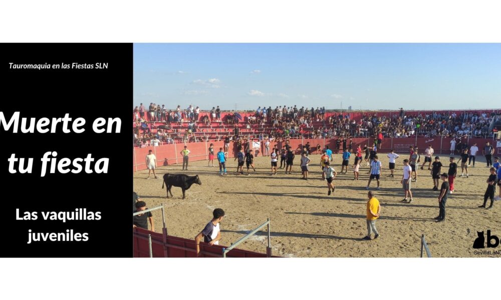 Muerte en tu fiesta – Las vaquillas juveniles